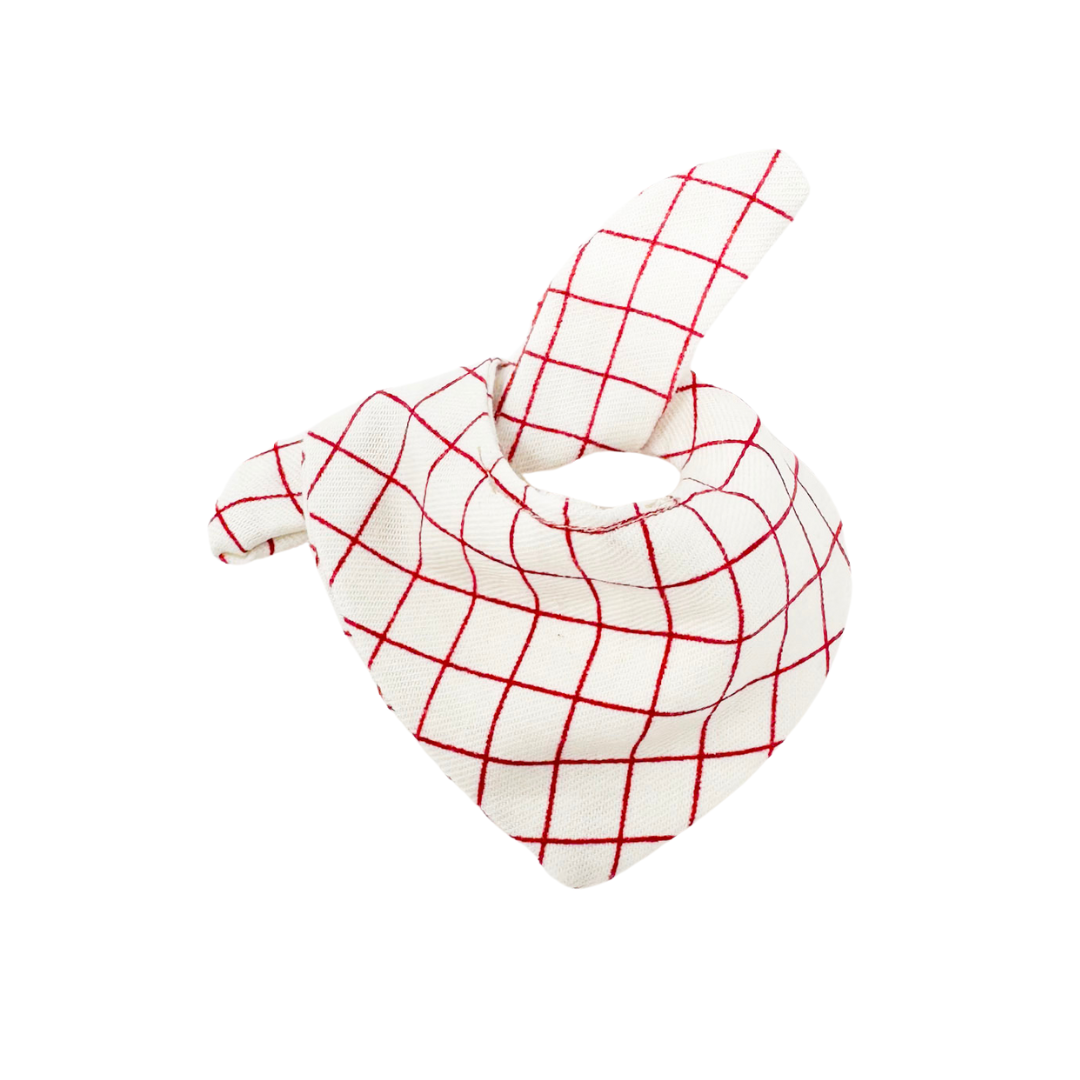Bandana Bib - Red Graph